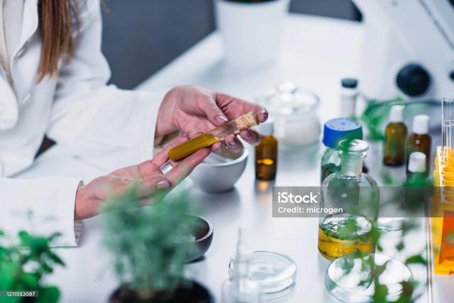 Alquimia Homeopática